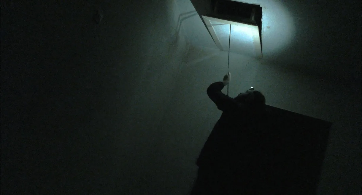 The Poltergeist Diaries