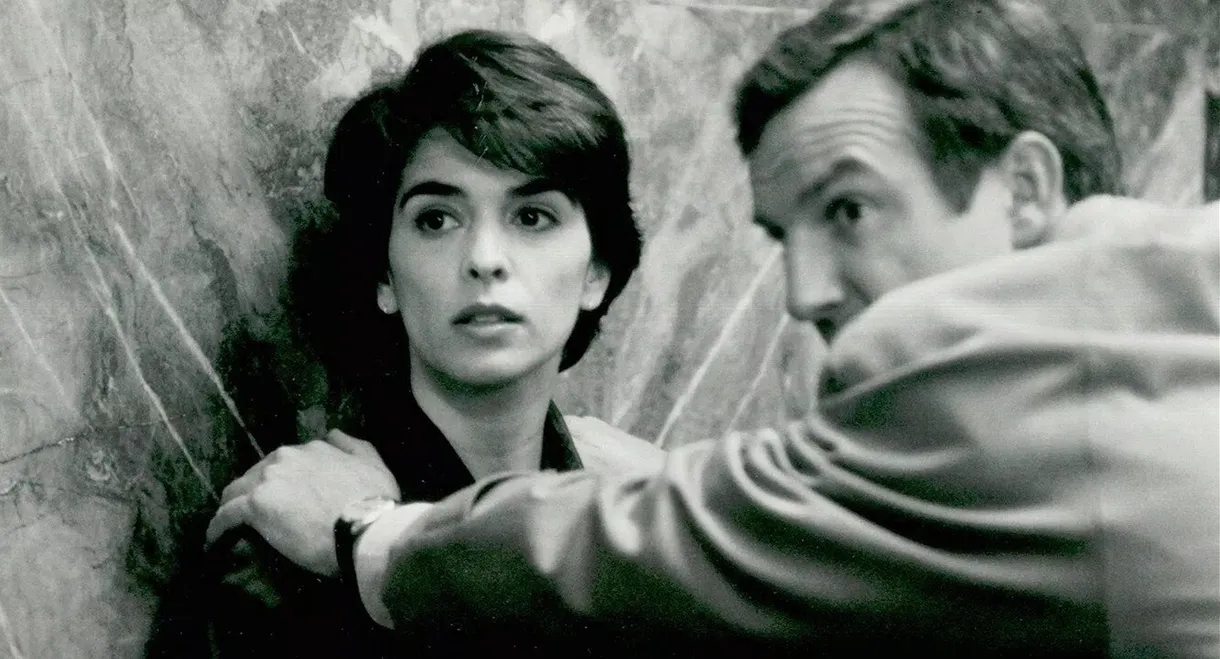 Whispers in the Dark