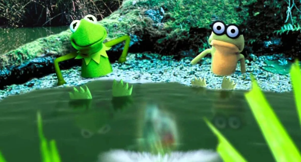 Kermit's Swamp Years