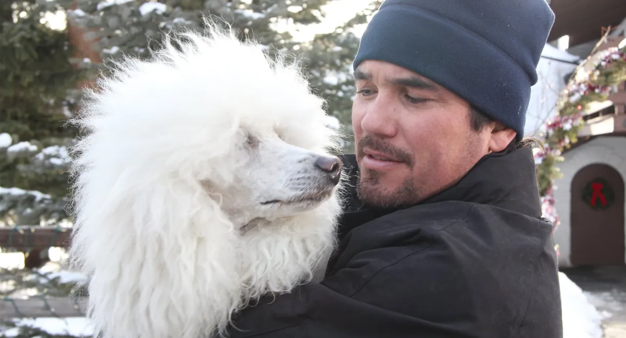 The Dog Who Saved Christmas Vacation