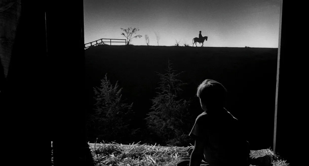 The Night of the Hunter