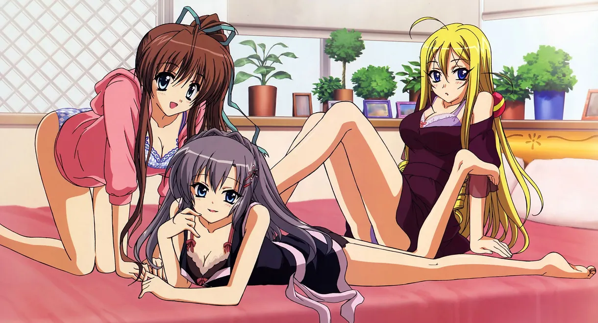 The Hill Dyed Rose Madder