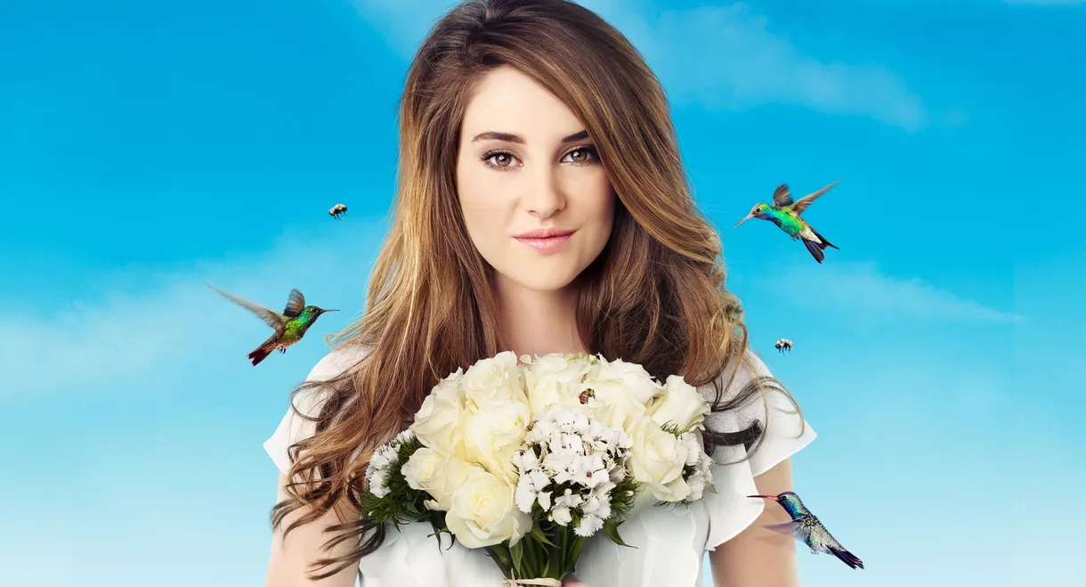 The Secret Life of the American Teenager