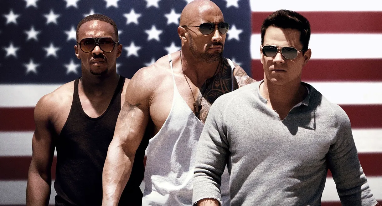 Pain & Gain