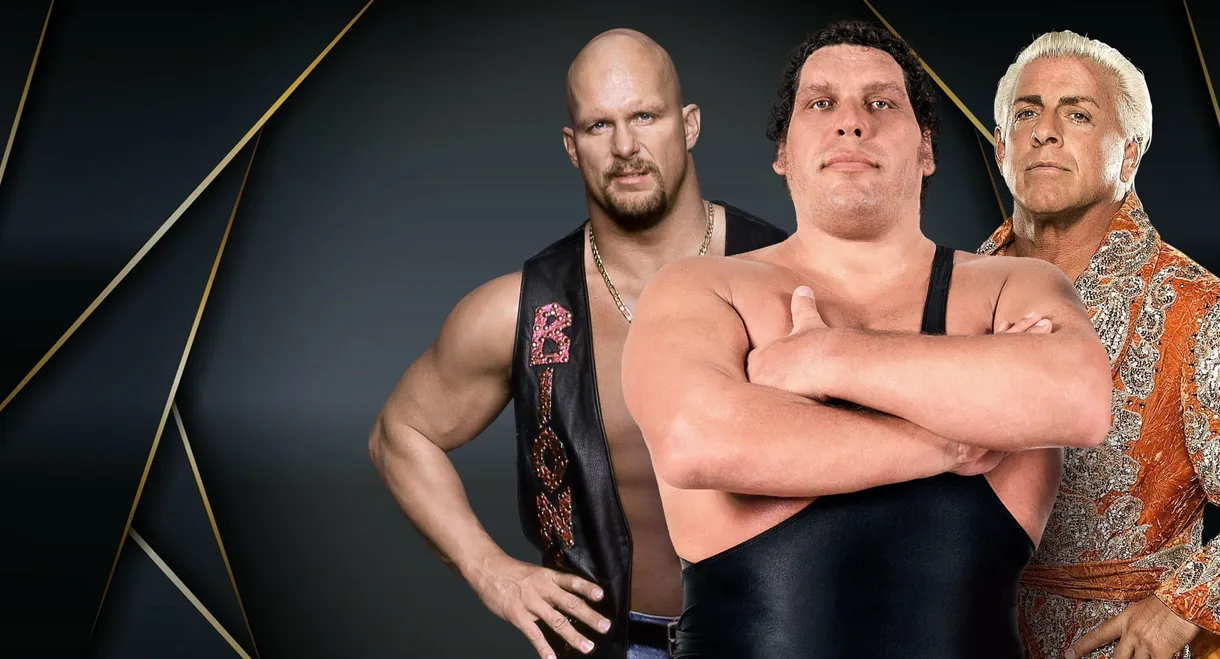 WWE Hall Of Fame 1996