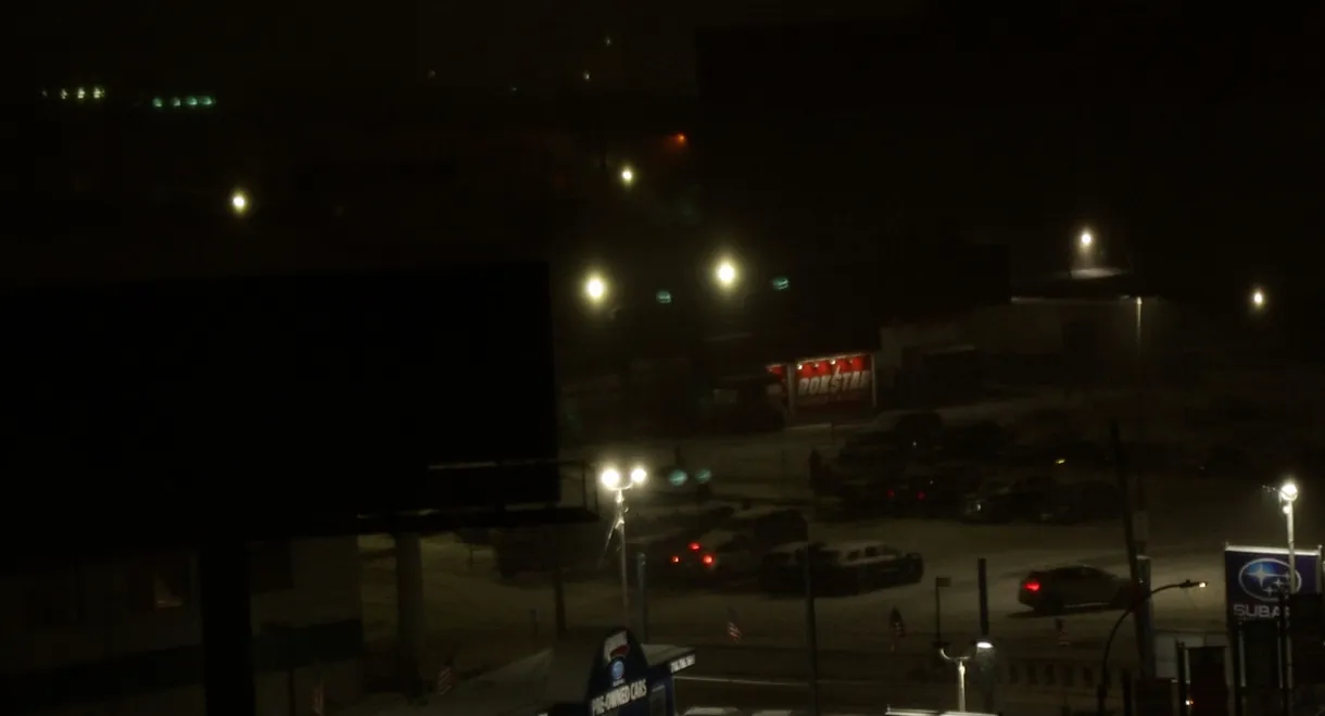 a walk with homer j.