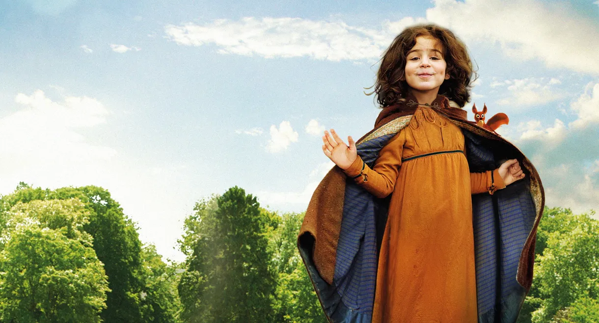 Sophie's Misfortunes