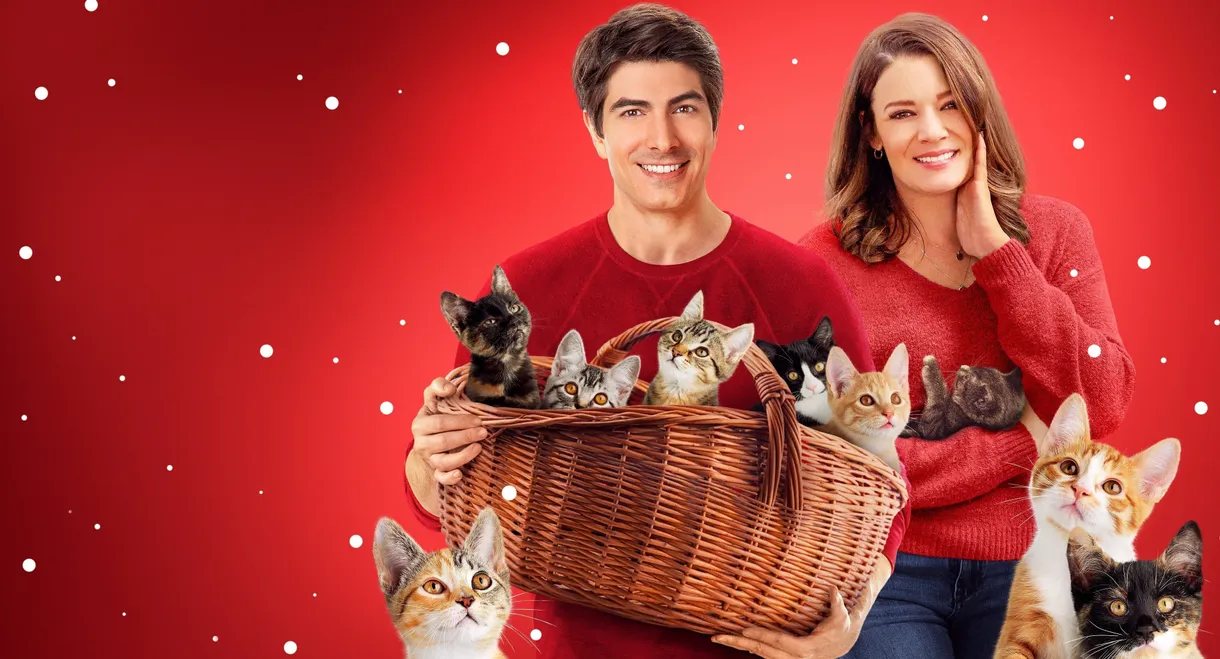 The Nine Kittens of Christmas