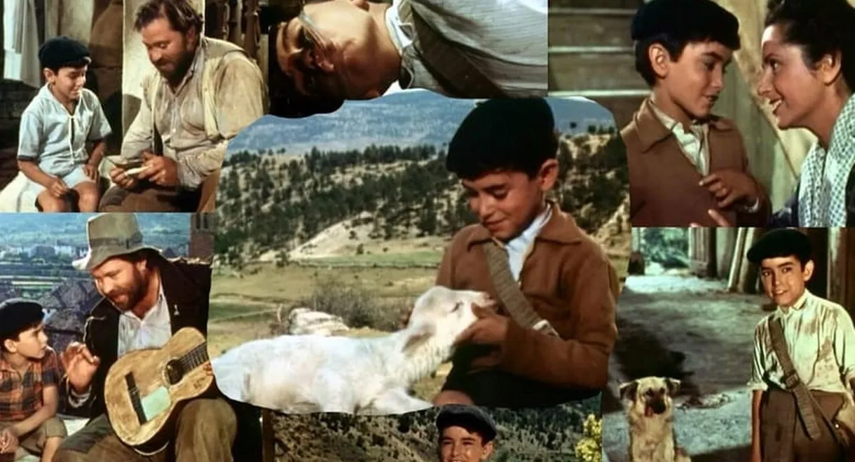 El ruiseñor de las cumbres