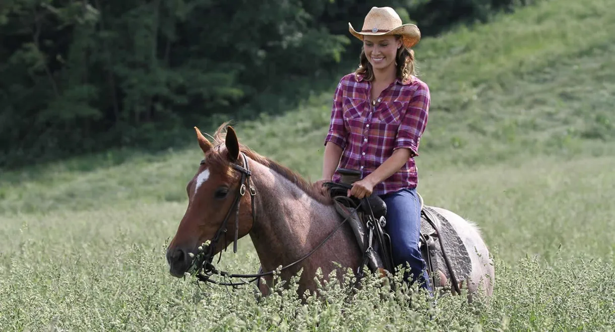 Love Finds You in Valentine