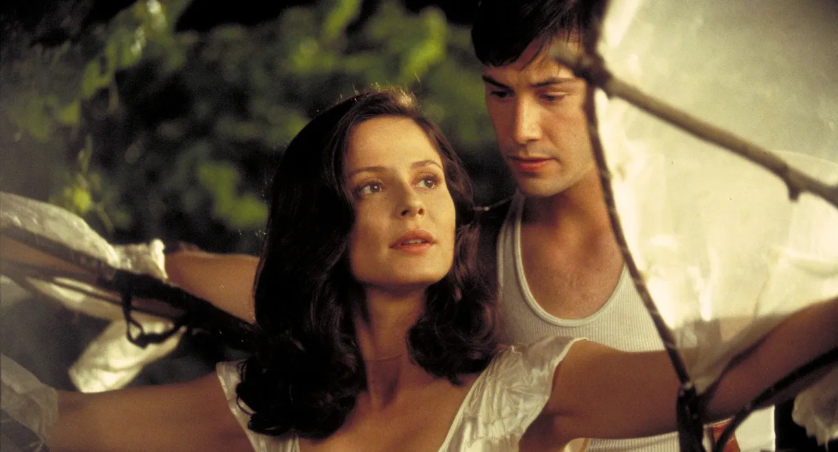 A Walk in the Clouds