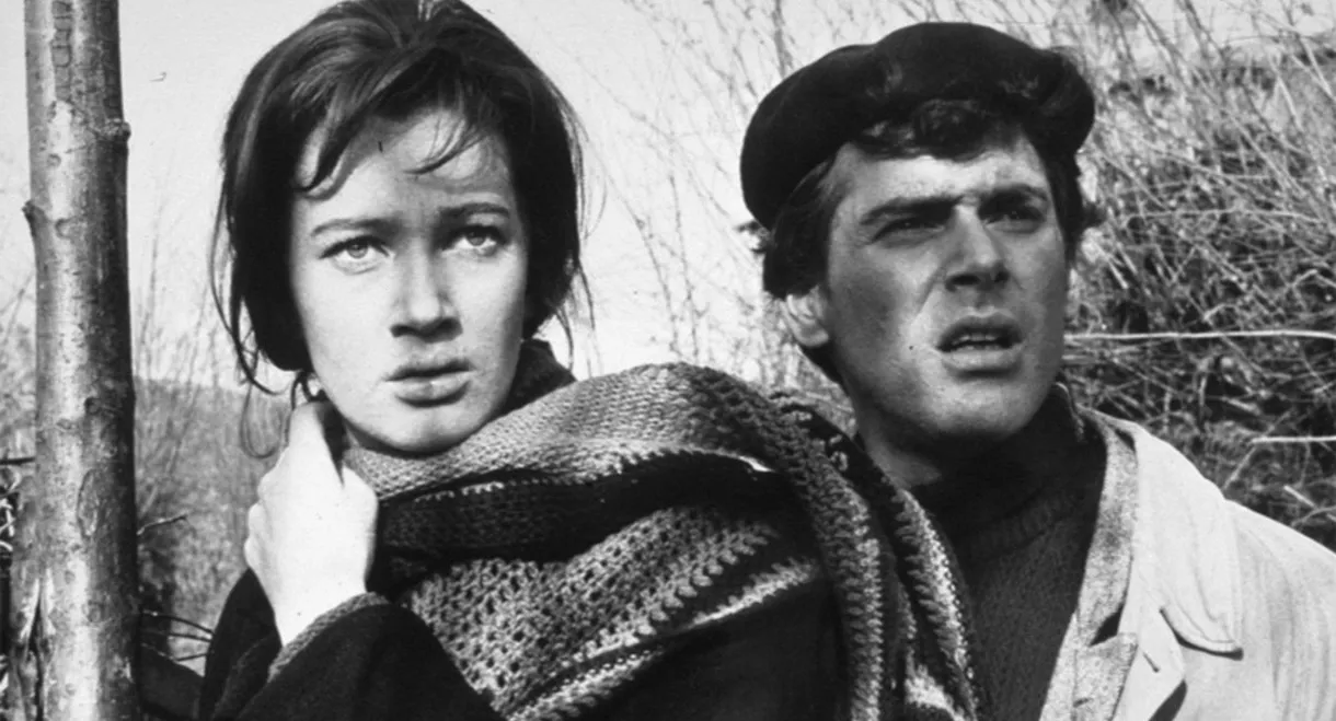 A Day for Lionhearts