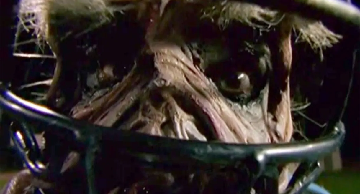 Goosebumps: Chillogy