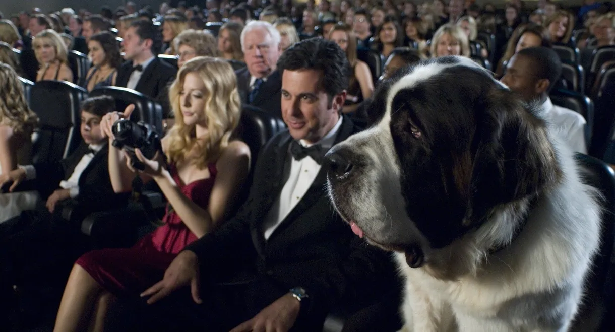 Beethoven's Big Break