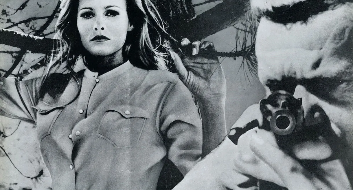 Nightmare in the Sun