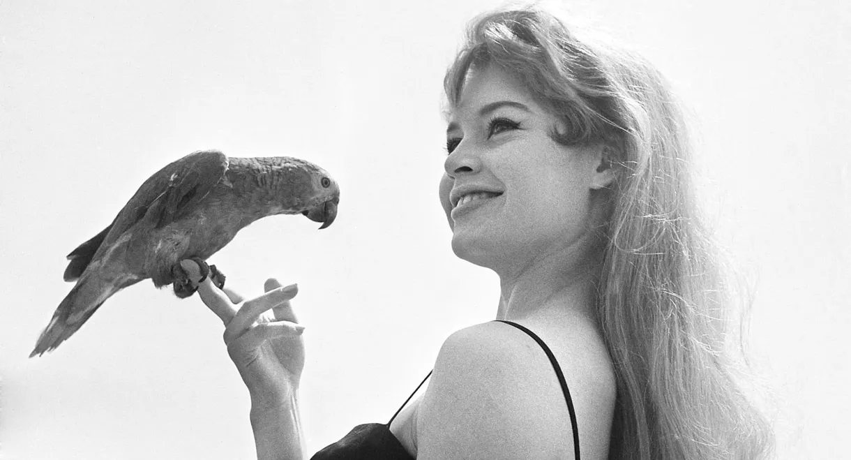 Heart of the Festival