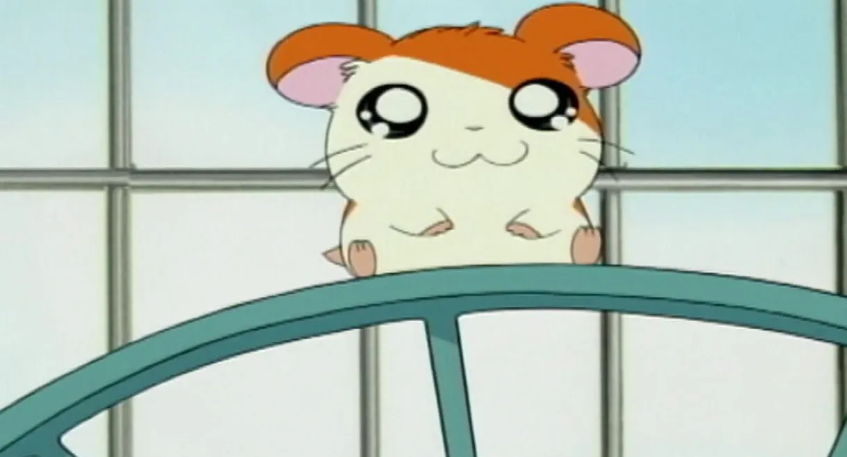 Hamtaro