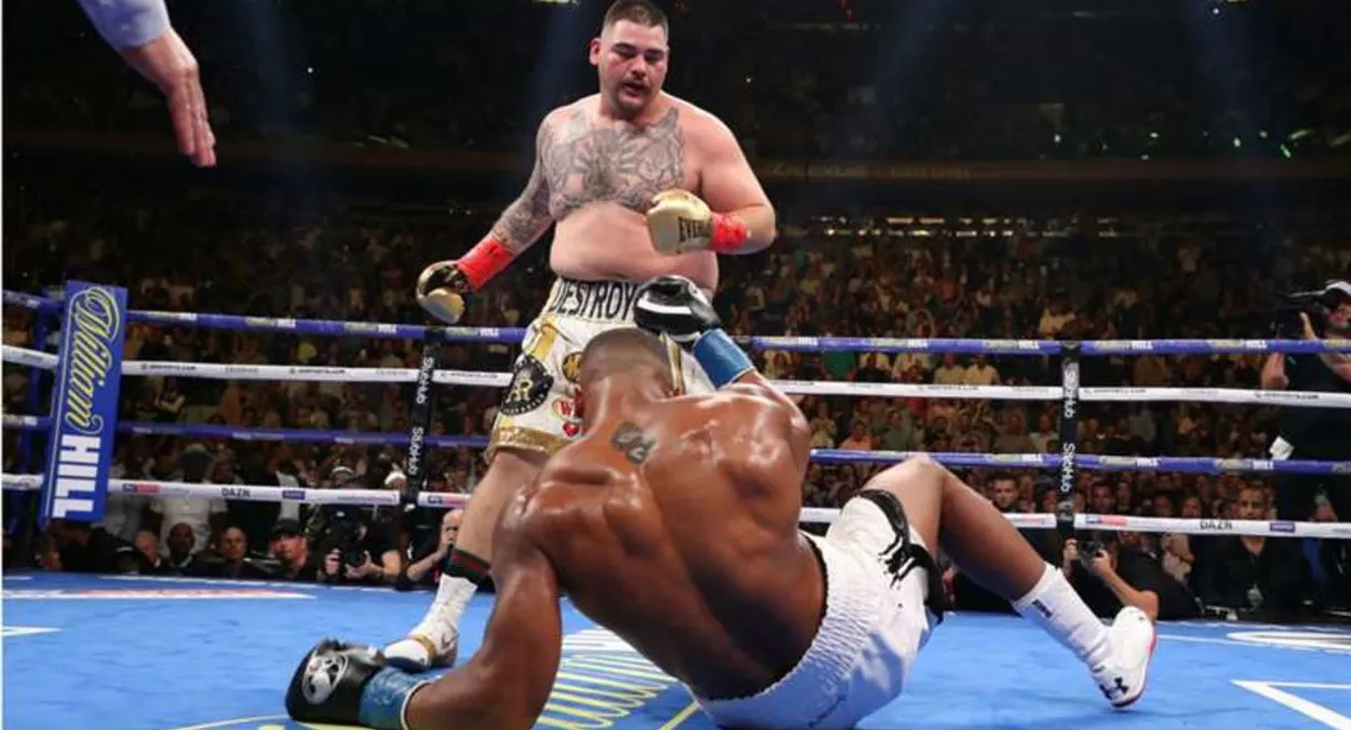 One Night: Joshua vs. Ruiz