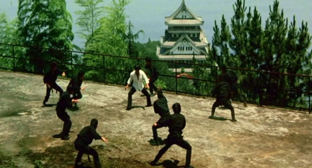 Which Is Stronger, Karate or the Tiger?