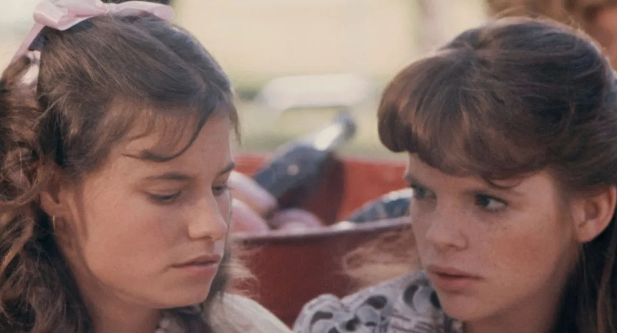 A Summer Without Boys