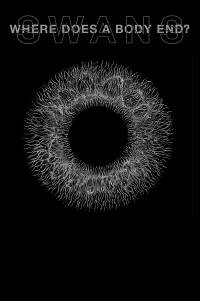 Swans: Where Does a Body End?