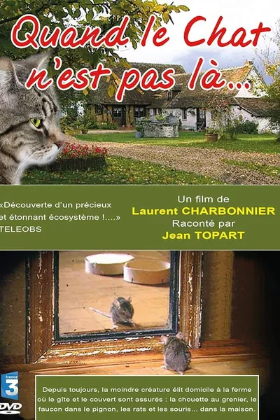 Quand le Chat n'est pas là…