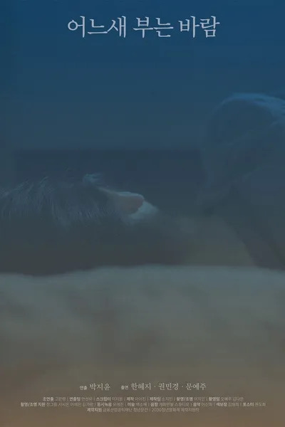 The Consolation of the Wind