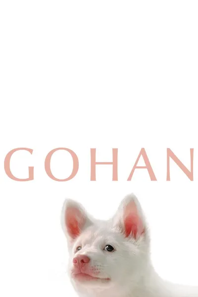Gohan