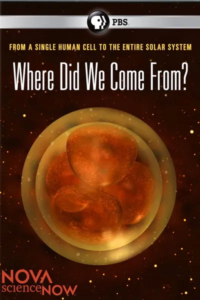 Where Did We Come From?