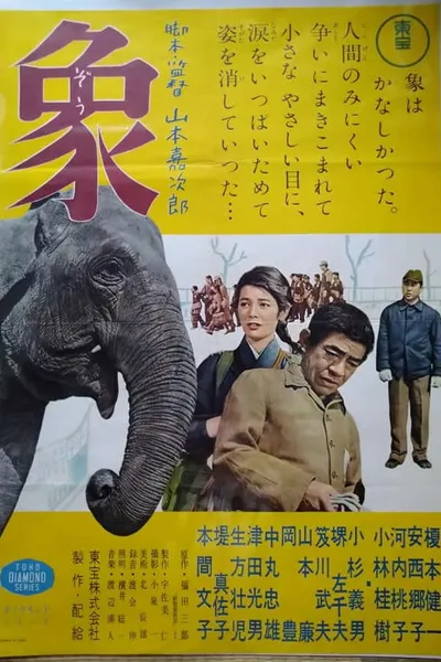 Elephant from "Zoo Story"