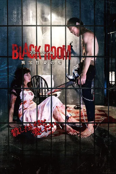 BLACK ROOM 異常性愛の檻