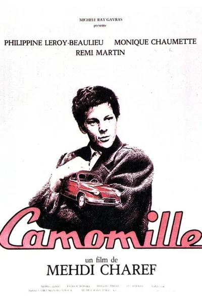 Camomille