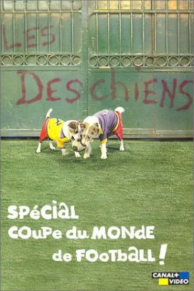 Les Deschiens - Spécial Coupe du Monde de football