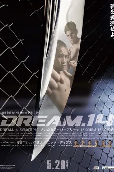 DREAM 14