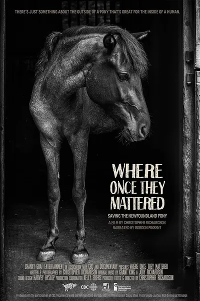 Where Once They Mattered