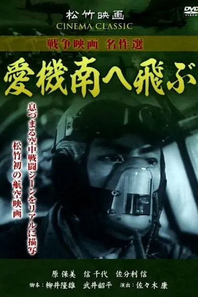 Our Planes Fly South