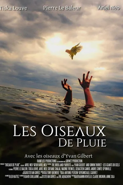 Les Oiseaux de pluie