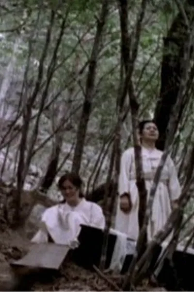 To The Spring Mountain