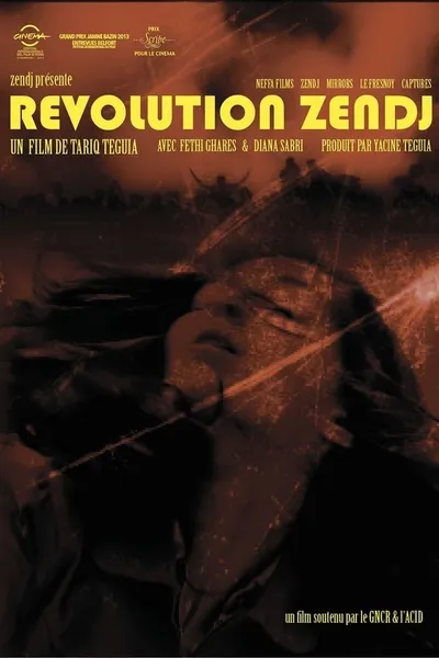 Zanj Revolution