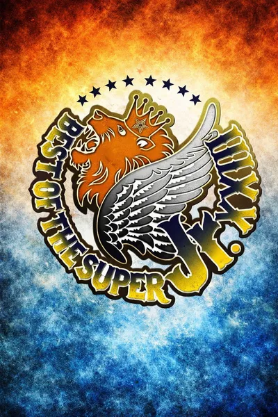 NJPW Best of the Super Junior 23 - Day 6