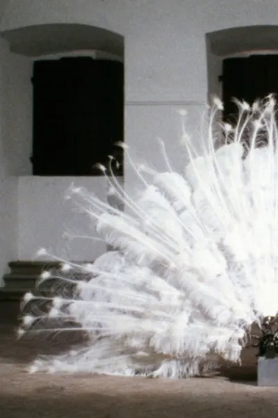 La Ferdinanda. Sonate für eine Medici-Villa