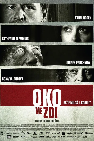 Oko ve zdi