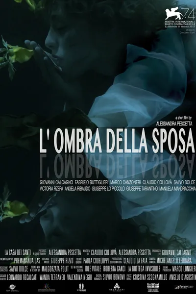 The Shadow of the Bride