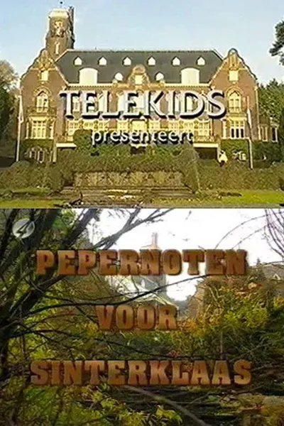 Pepernoten voor Sinterklaas