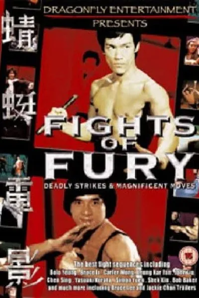 Fights of Fury