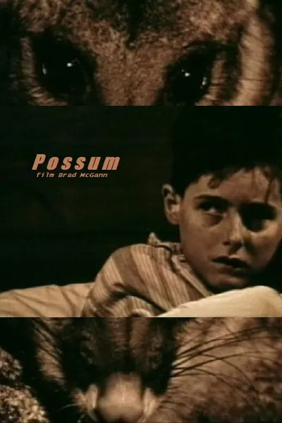 Possum