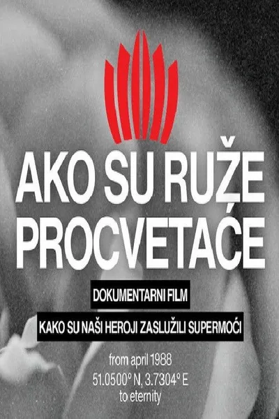 If They Are Roses, They Will Bloom