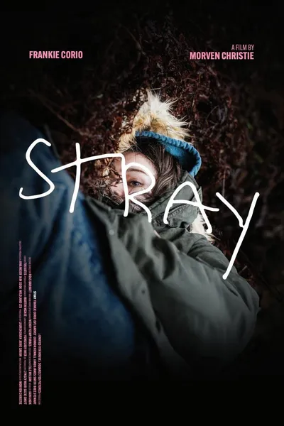 Stray