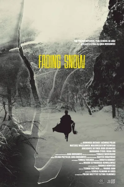 Fading Snow