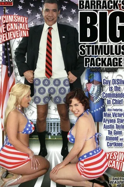 Barrack's Big Stimulus Package